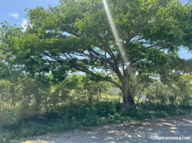 Carr #3 Hacienda Adela, Guayama Guayama