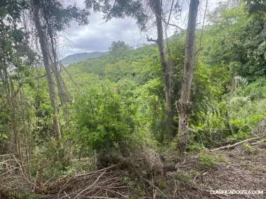 Bo Santa Catalina, Coamo 