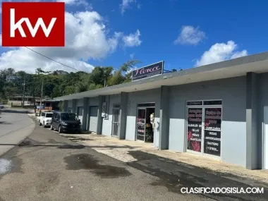 Bo. Honduras, Local Comercial