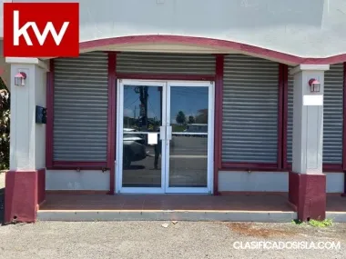 Bo. Lechugas, Negocio en Hatillo