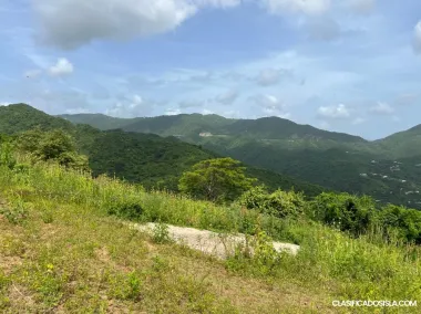 Bo. Lapa, Salinas PR