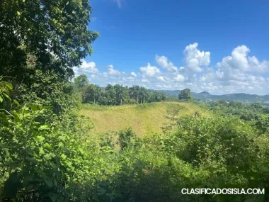 Bo. Cagüitas, Camino Hormigas