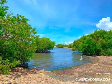 Playa de Jaucas, Santa Isabel