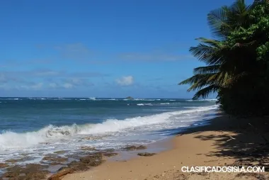 Chalets de la Playa, Beachfront