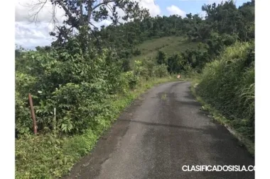 Caguas, Bo Borinquén Atravesada car