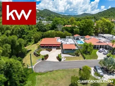 Camino De Los Bucares, Gurabo