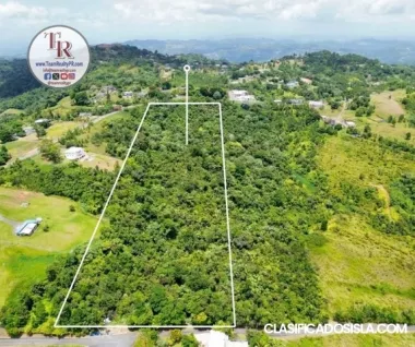 FINCA de 8 cuerdas (31,443 m2)