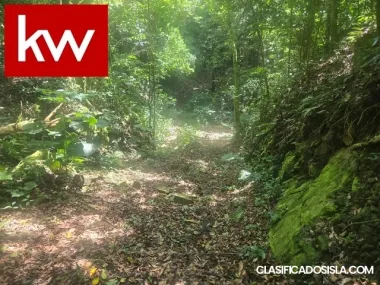 Bo. Jamiel, Terreno en Ponce