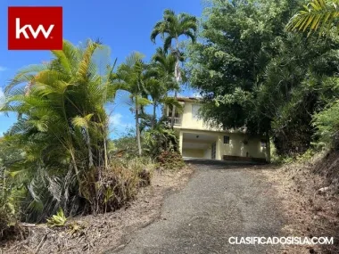 Bo. Santana, Casa en Sabana Grande