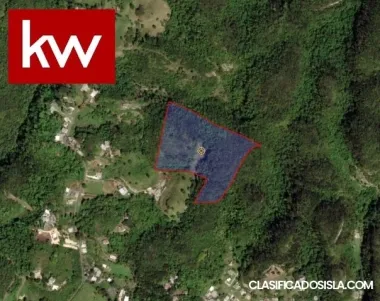 Bo. Morovis Norte, Finca en Morovis