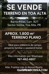 TERRENO EN TOA ALTA - LLANO/FLAT