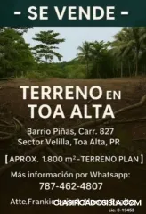 Terrano en Toa Alta - LLANO!