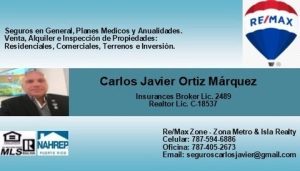 Carlos Javier Real Estate & Insurances