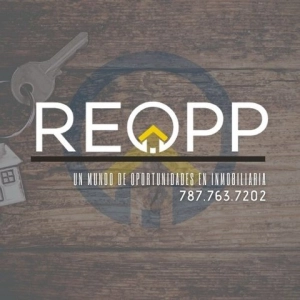 Real Estate Opportunities Pr  Corp